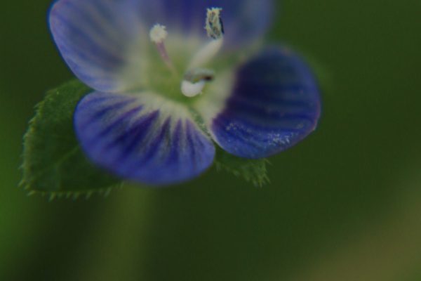 IMG_2565