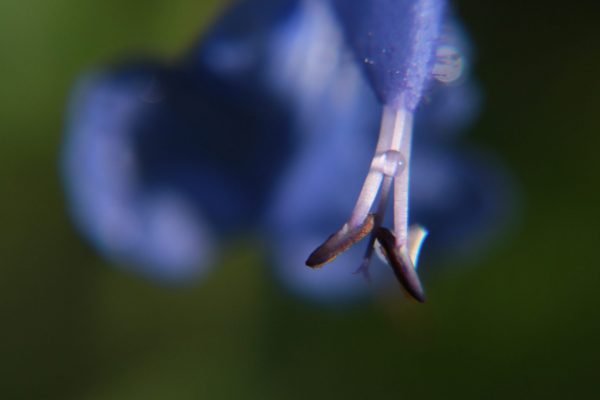 IMG_3019