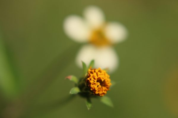 IMG_6049 IMG_6049