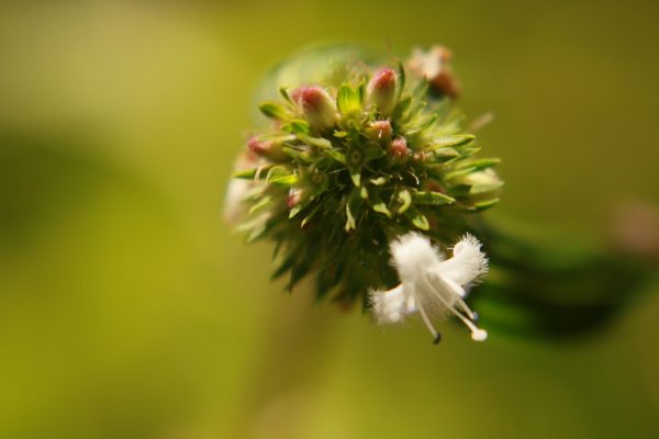 IMG_6657 IMG_6657