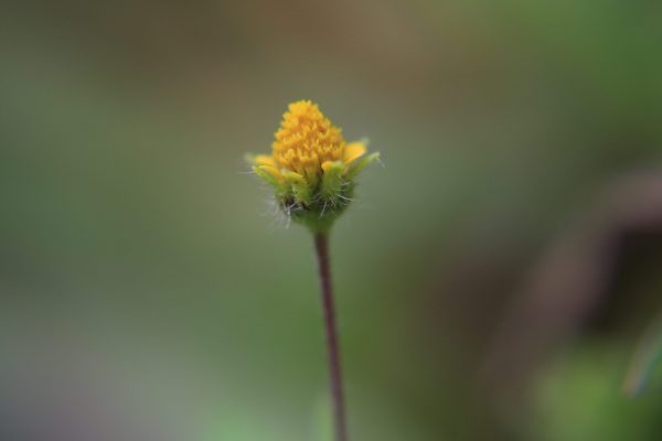 IMG_7972 IMG_7972