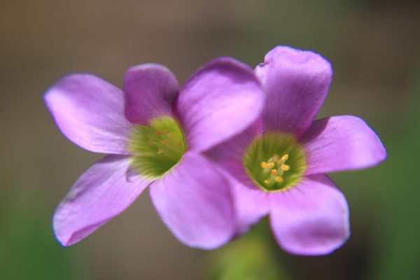 IMG_8063 IMG_8063