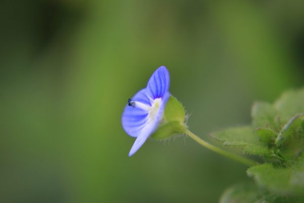 IMG_8162 IMG_8162